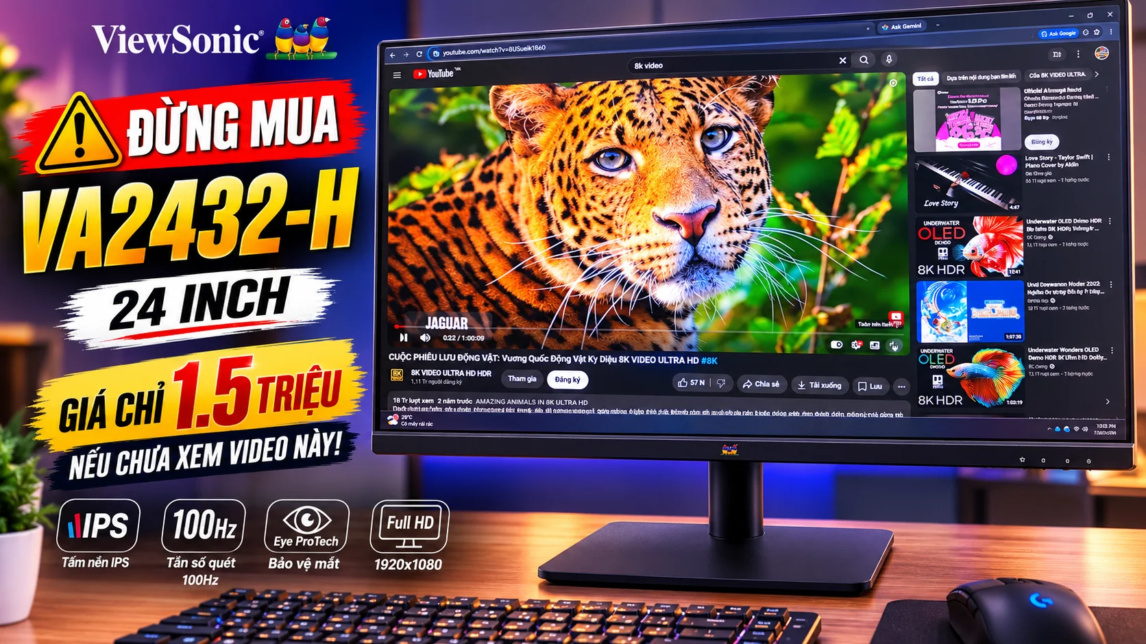 Review ViewSonic VA2432-H 24 Inch IPS 100Hz Giá 1.5 Triệu